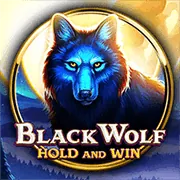 Quản lý cài đặt cookie trên Onebet Link Mới