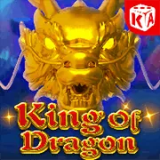 Hình ảnh đại diện cho Điều Khoản Dịch Vụ Onebet